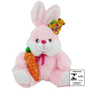 Coelho C/ Cenoura 25cm em Pelúcia Fizzy
