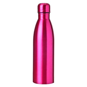Garrafa Metalizada 600ml em Alumínio Livon
