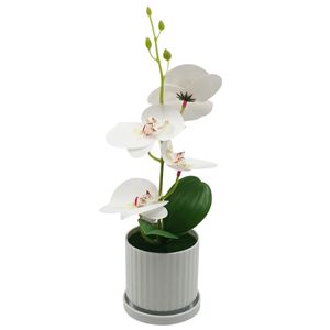 Orquídea Decorativa Artificial 29x7cm em Plástico Sutt