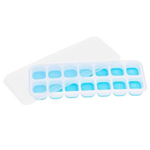 Forma de Gelo C/ Tampa 24,5cm em Plástico Interponte