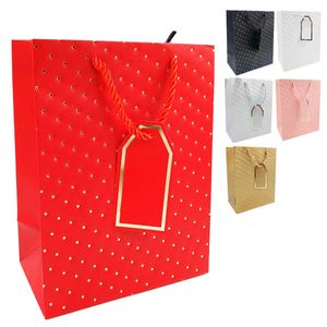 Sacola P/ Presente Bolinha 32x26cm em Papel FWB