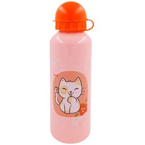 Garrafa Infantil Estampada 500ml em Alumínio Livon