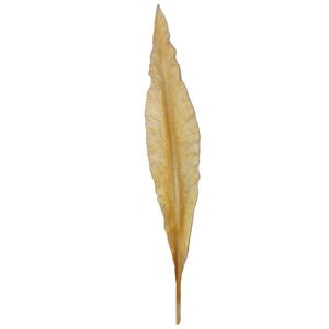 Haste Folha Envelhecida Artificial 98cm em Plástico Bella Garden