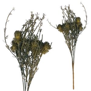Buquê Capim Mamona Artificial 36cm em Plástico Bella Garden