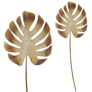 Haste Costela de Adão Artificial 73cm em Plástico Bella Garden